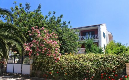 Apartmanok A Tenger Mellett Loviste, Peljesac - 10182 Lovište