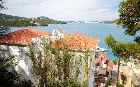 Apartments Branko Tisno