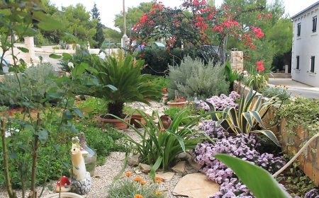 Apartmanok A Tenger Mellett Milna, Vis - 8896 Milna