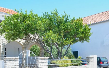 Apartment Danijela Primosten