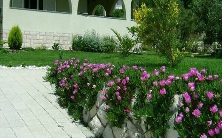 Apartman Zdene Banjol