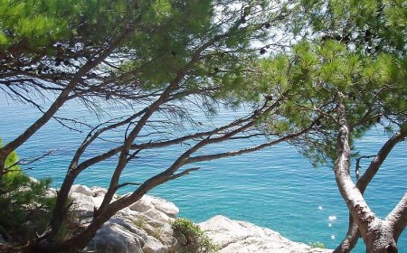 Apartman Tajči Pisak