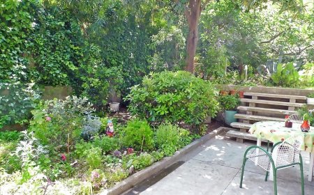 Apartman Brane Split