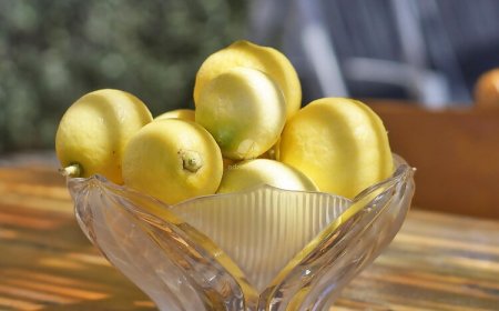 Apartment Veseljko Prizba