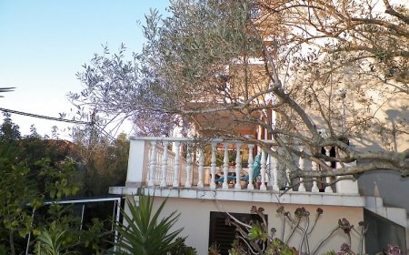 Apartments Franica Vela Luka