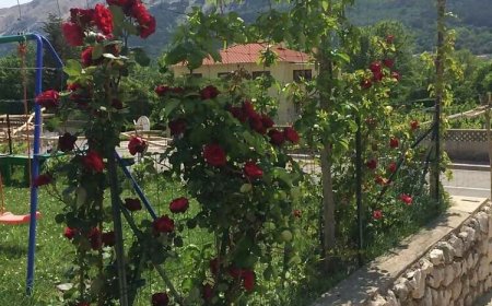 Apartments Bruno Baska