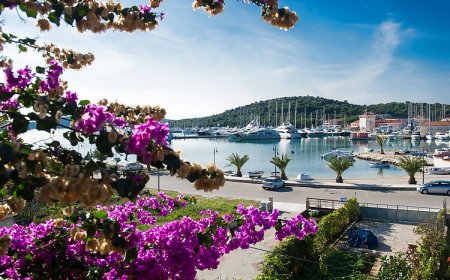 Apartmani Bilja Rogoznica