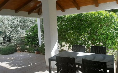 Apartmanok Parkolóhellyel Ugljan - 8403