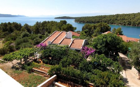 Apartment Nik Vrboska