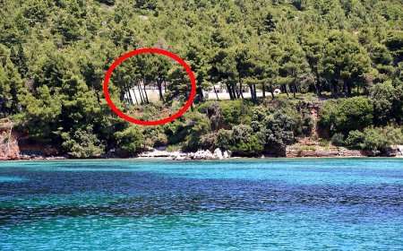 Apartmanok A Tenger Mellett Zuljana, Peljesac - 10233 Žuljana