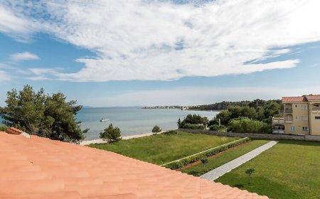 Vesna Bašič 01 Vir