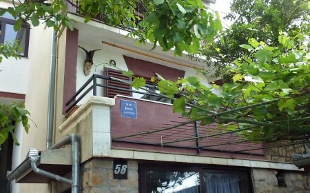 Apartman Dedo Starigrad