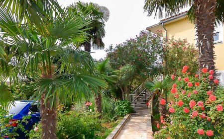 Apartments Marija Umag