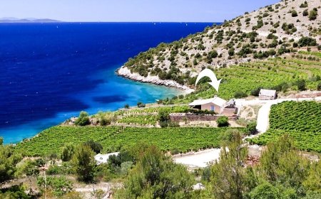 Robinson Villa Afrodita Zagradac