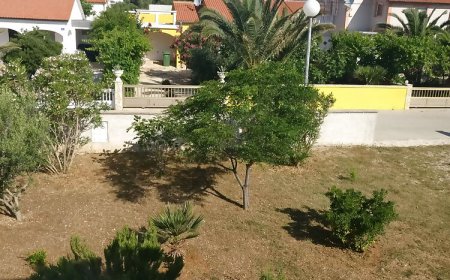 Apartments Bucic Vir