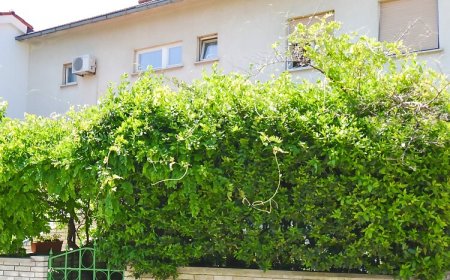 Apartman Emilija Pula