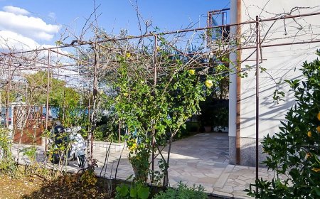 Apartments Vinko Trogir