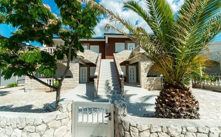 Apartments Lucica Vir