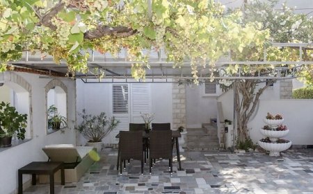 Apartmani Orhideja Barbat