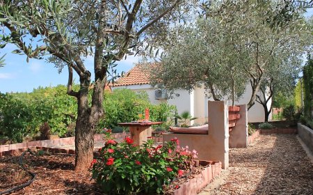 Apartmanok A Tenger Mellett Lukoran, Ugljan - 836 Lukoran