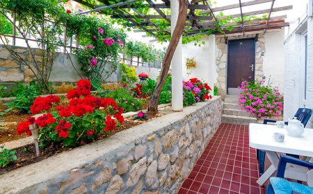 Apartman Vinjerac - CDZ849