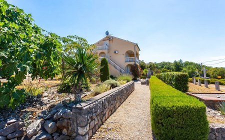 Apartman Rasopasno - CKK909