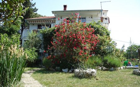Apartmanok Parkolóhellyel Kampor, Rab - 5014 Kampor