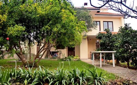 Apartmanok Parkolóhellyel Kozino, Zadar - 678 Kožino