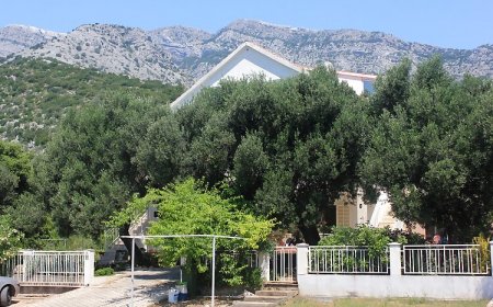 Apartmanok Parkolóhellyel Orebic, Peljesac - 10185 Orebić