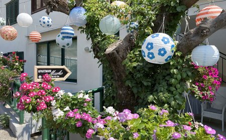 Apartmani Marko Tučepi