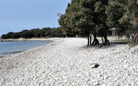 Apartman Božo Barbariga