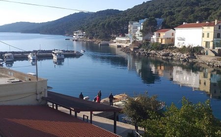 Apartman Silvana Božava