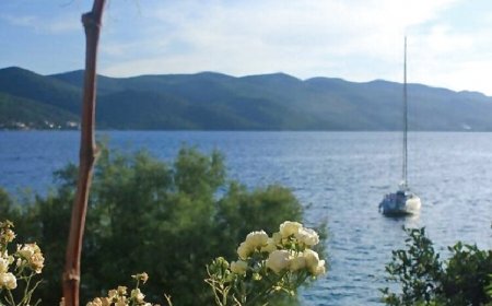 Apartman Nevenkos Kučište