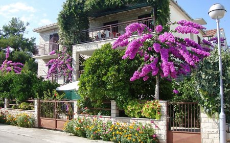 Apartmanok Parkolóhellyel Stari Grad, Hvar - 8686 Stari Grad