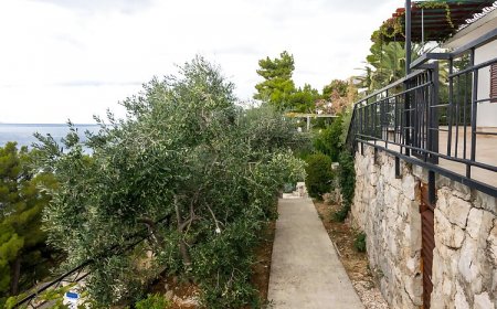 Apartments Igor Bratus