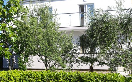 Apartmani Melin Malinska