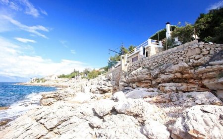 Robinson House Delphinus Virak