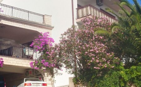 Apartments Karmela Primosten