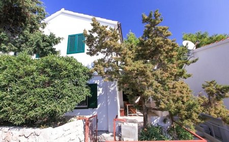 Robinson House Stevica Velo Zaraće