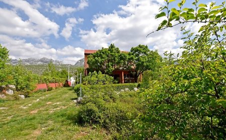 Apartments Pinka-30 m from the sea Seline