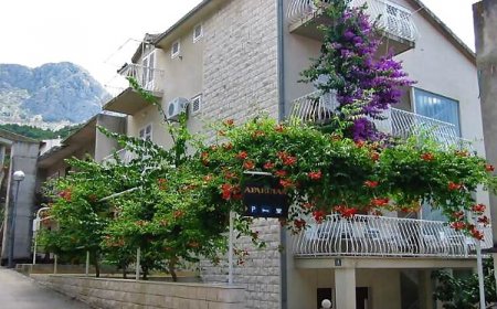 Apartmanok A Tenger Mellett Podgora, Makarska - 316 Podgora