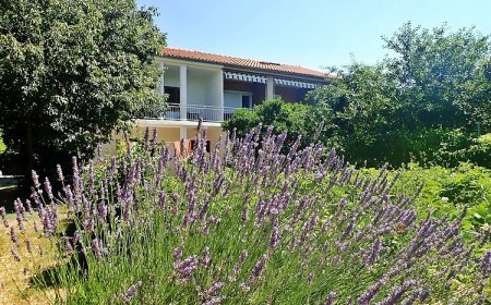 Apartmani Brine Starigrad