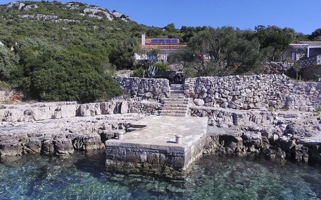 House Lemon Tree Tkon