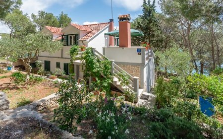 Apartment Ante Milna