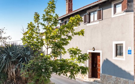 Apartman Ližnjan - CIZ269