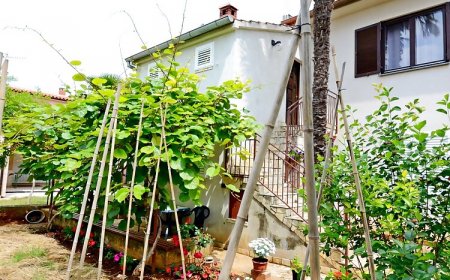 Apartment Dražen Valbandon