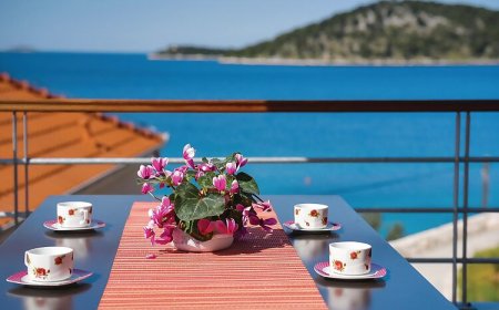 Apartman Ražanj - CDJ050