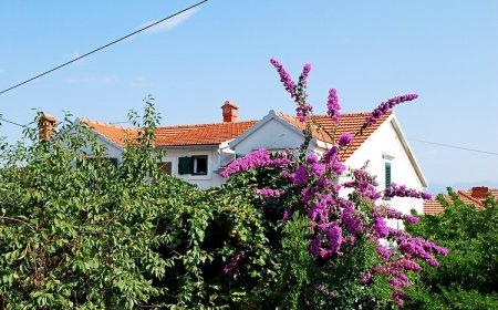 Apartments Tihana Supetar