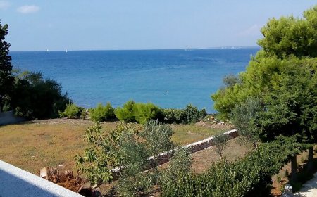 Apartment Branko Sutomiscica