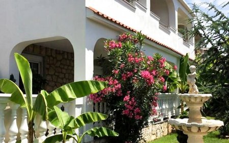 Apartmanok Parkolóhellyel Novi Vinodolski - 2348